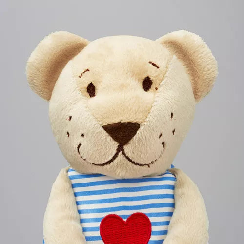 Teddy Sweetheart