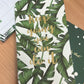 Plant Collection - 3 Options