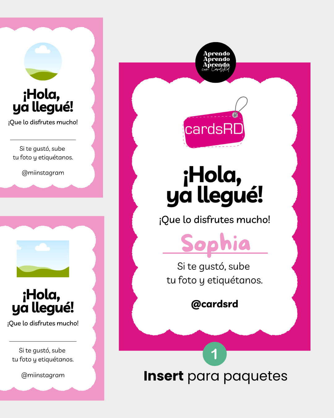 Kit de Packaging para Emprendedoras (Editable en Canva).
