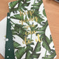 Plant Collection - 3 Options