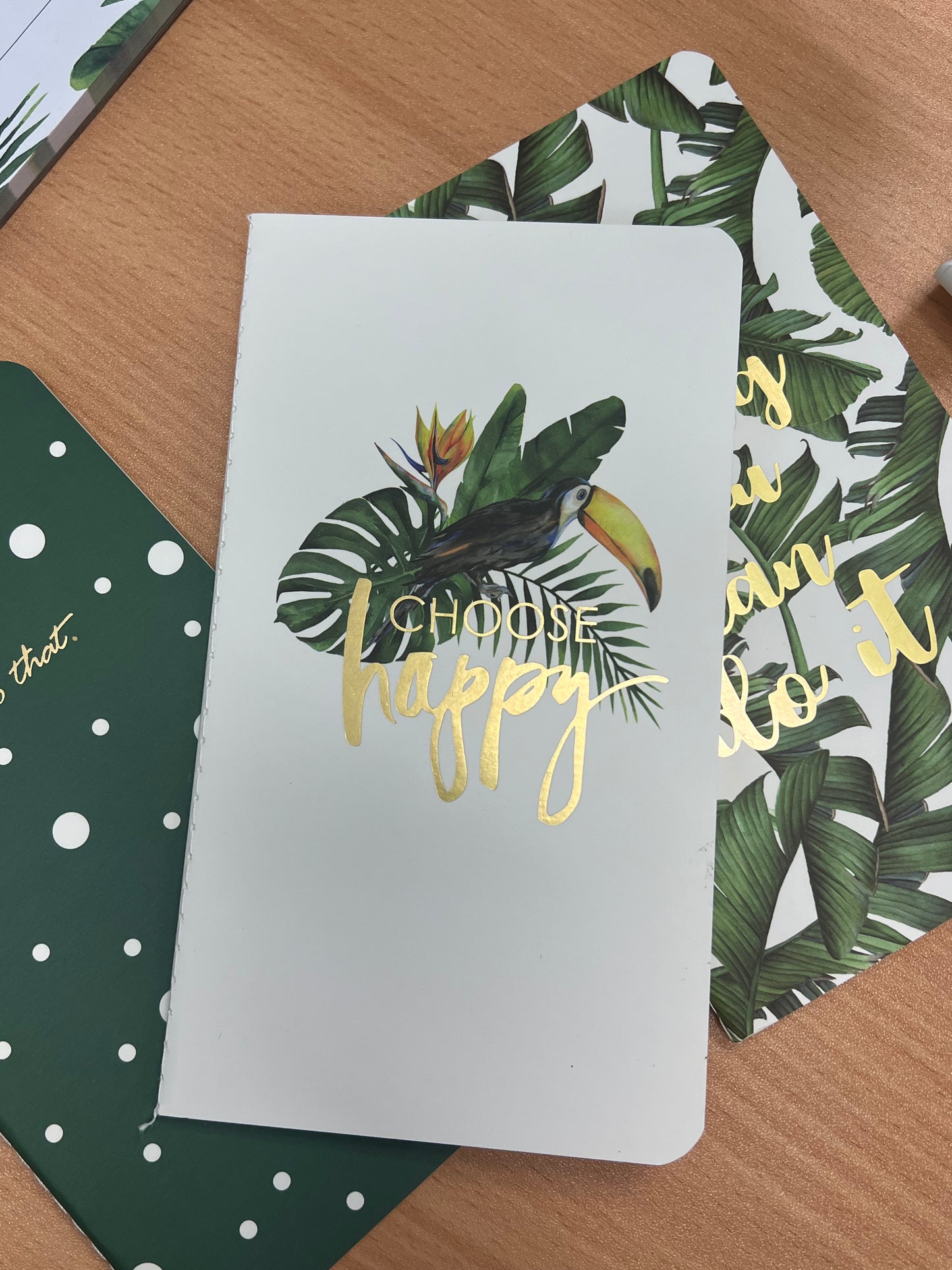 Plant Collection - 3 Options