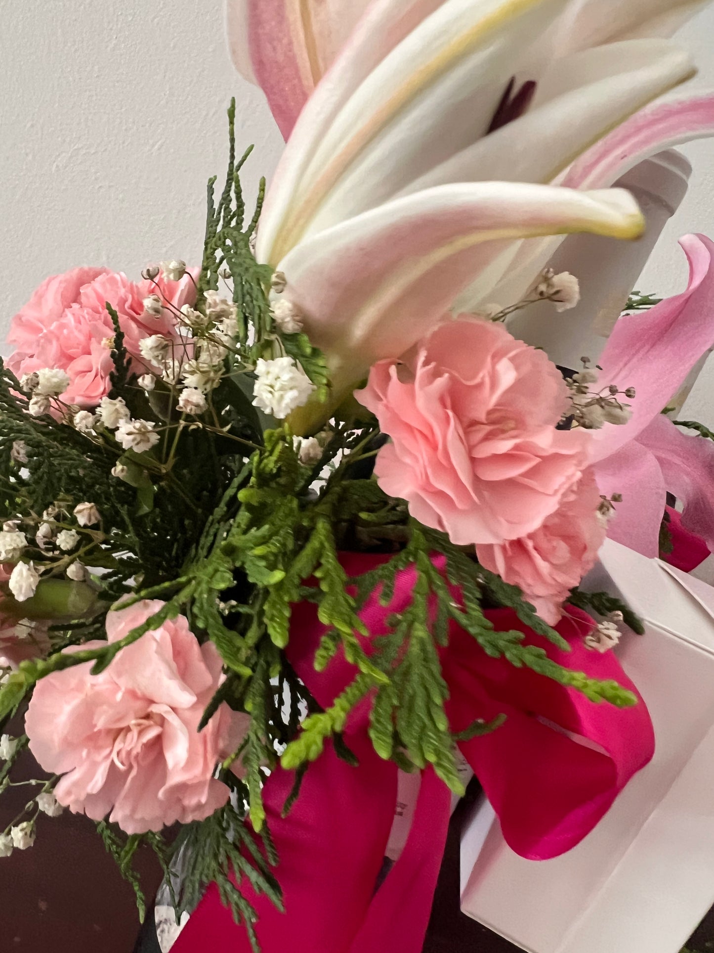 "Brinda Bonito" con 19 Crimes.