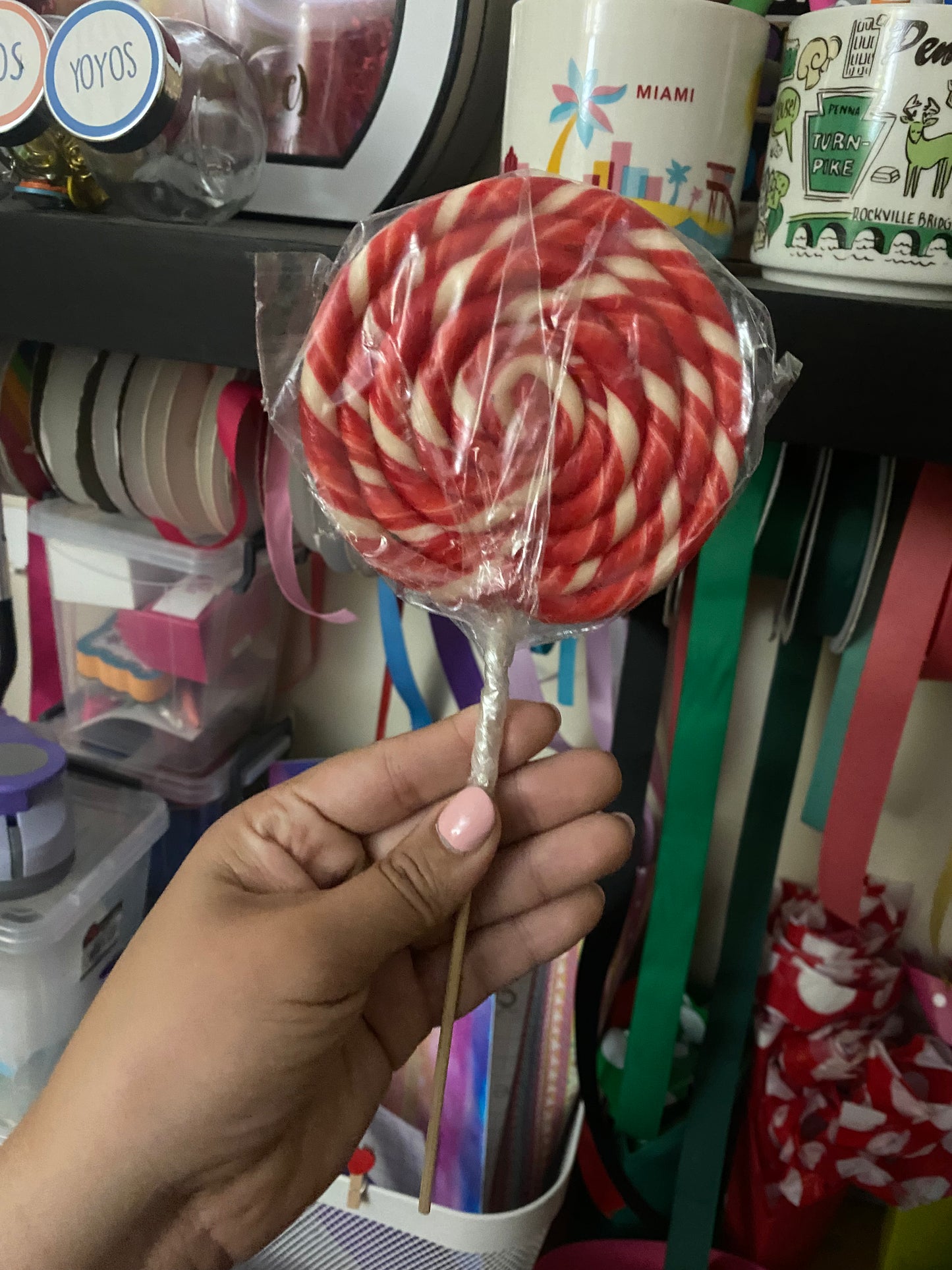 Paletas circulares - AP